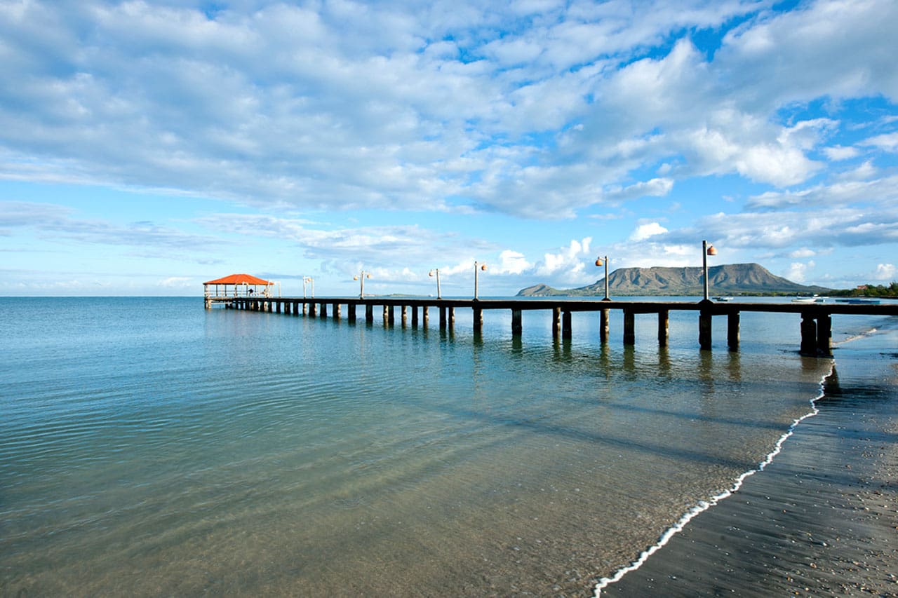 Lush green island in the sea
